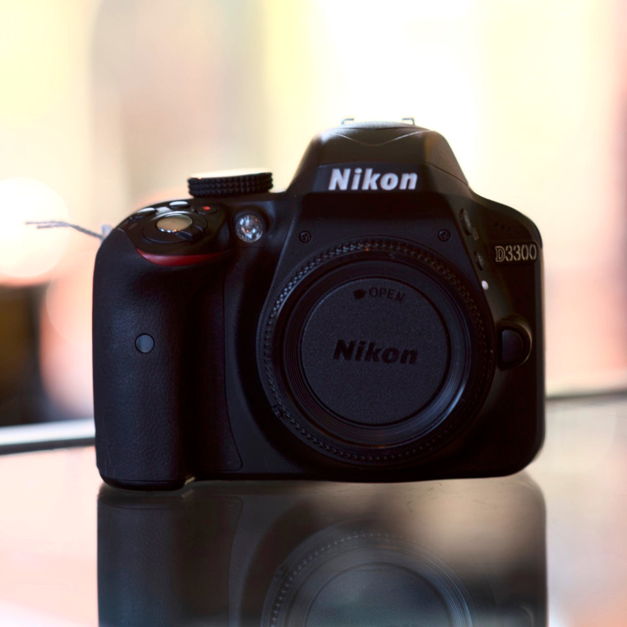 Nikon D3300
