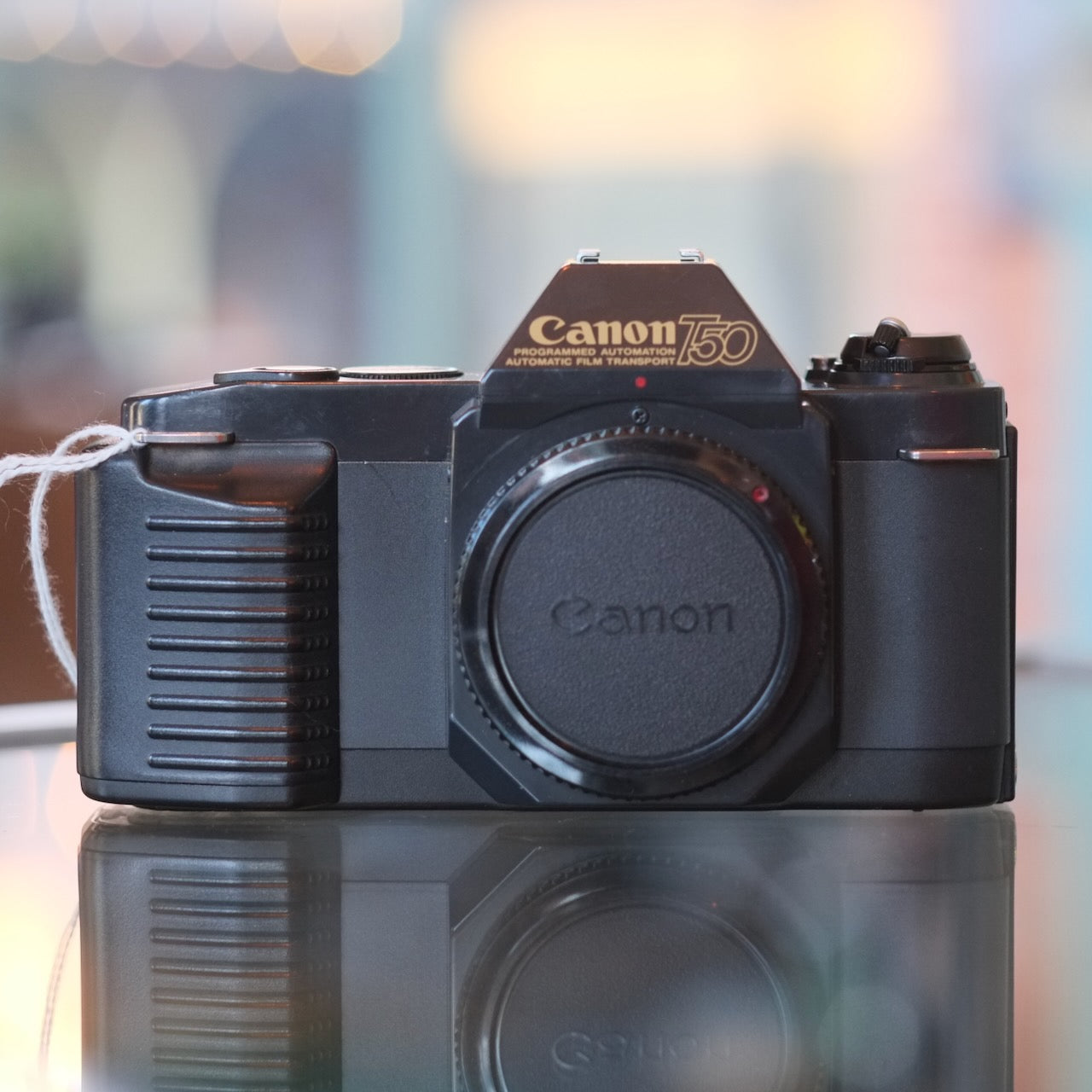 Canon T50