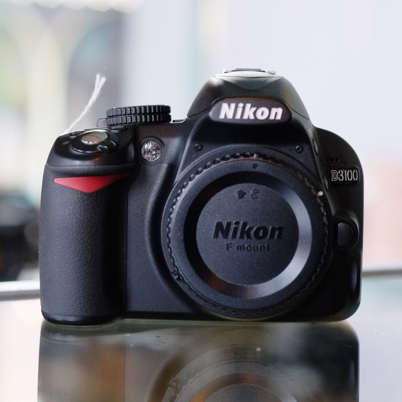 Nikon D3100