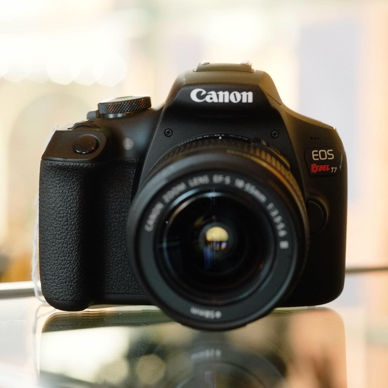 Canon EOS Rebel T7 with 18-55mm f3.5-5.6 III