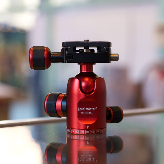 Promaster Ball Head