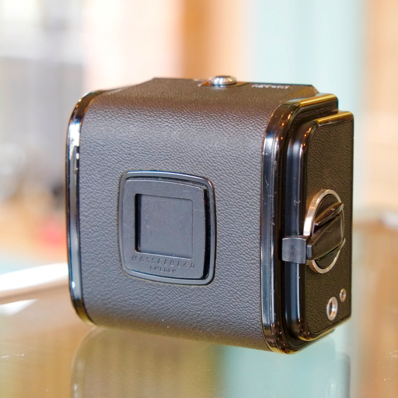 Hasselblad A24-6x6 back