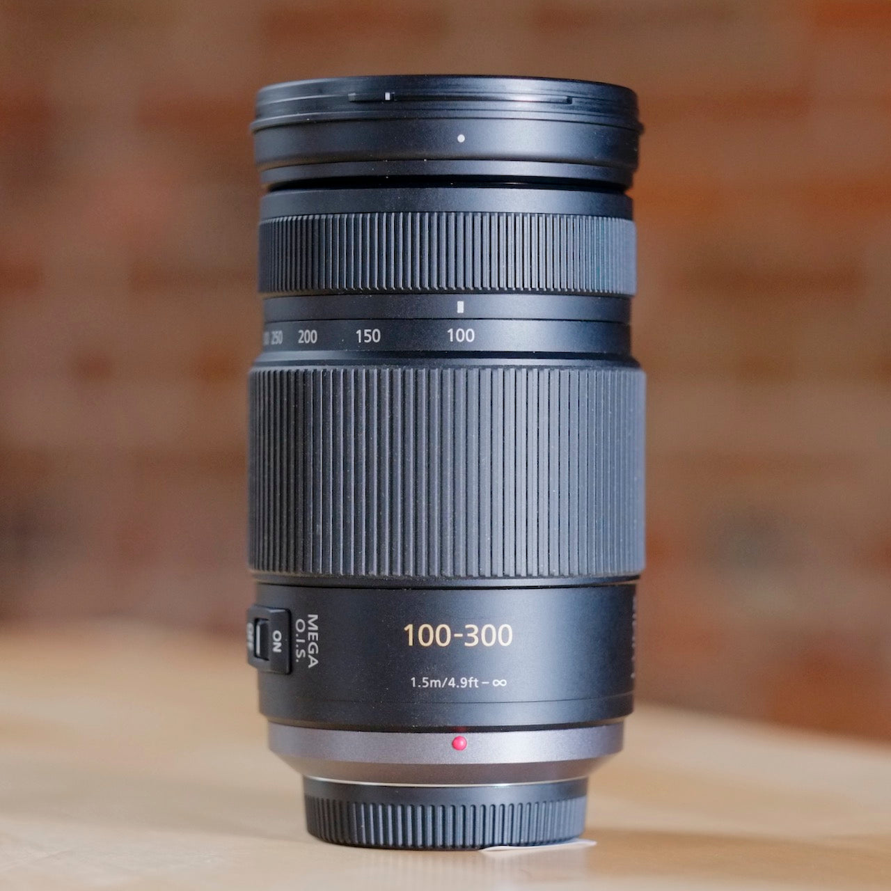 Panasonic G Vario 100-300mm f4-5.6 Mega O.I.S.