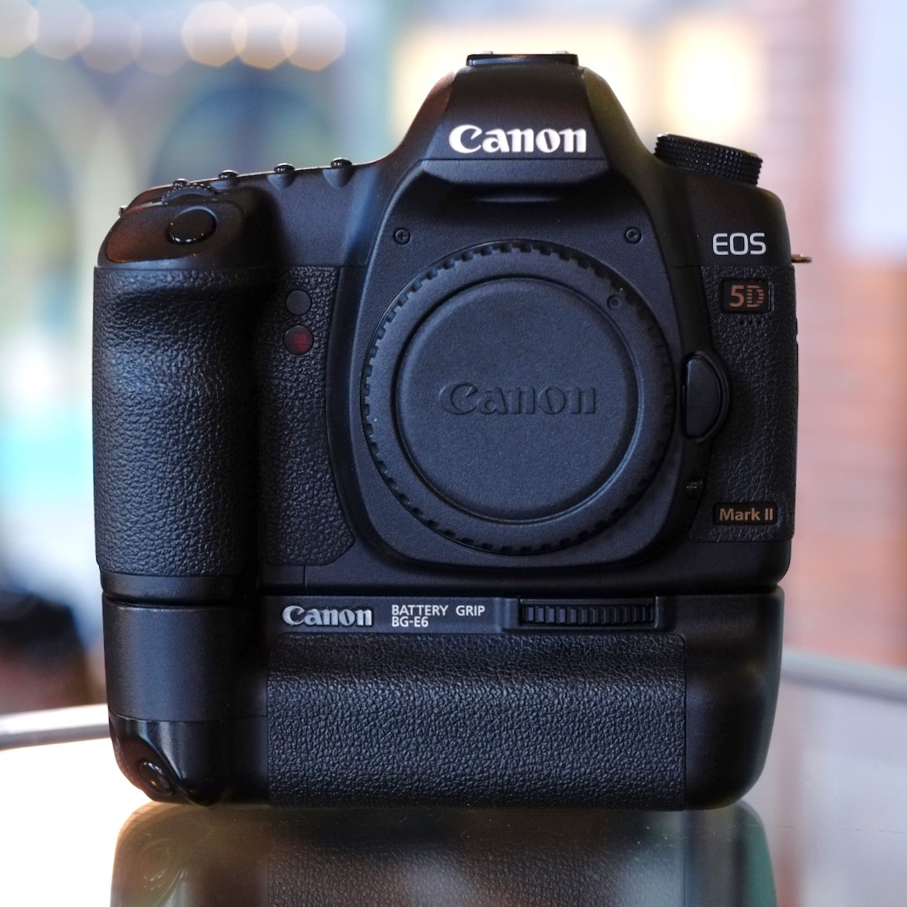 Canon EOS 5D Mark II with BG-E6
