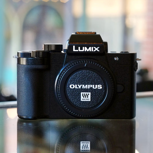Panasonic Lumix G100D