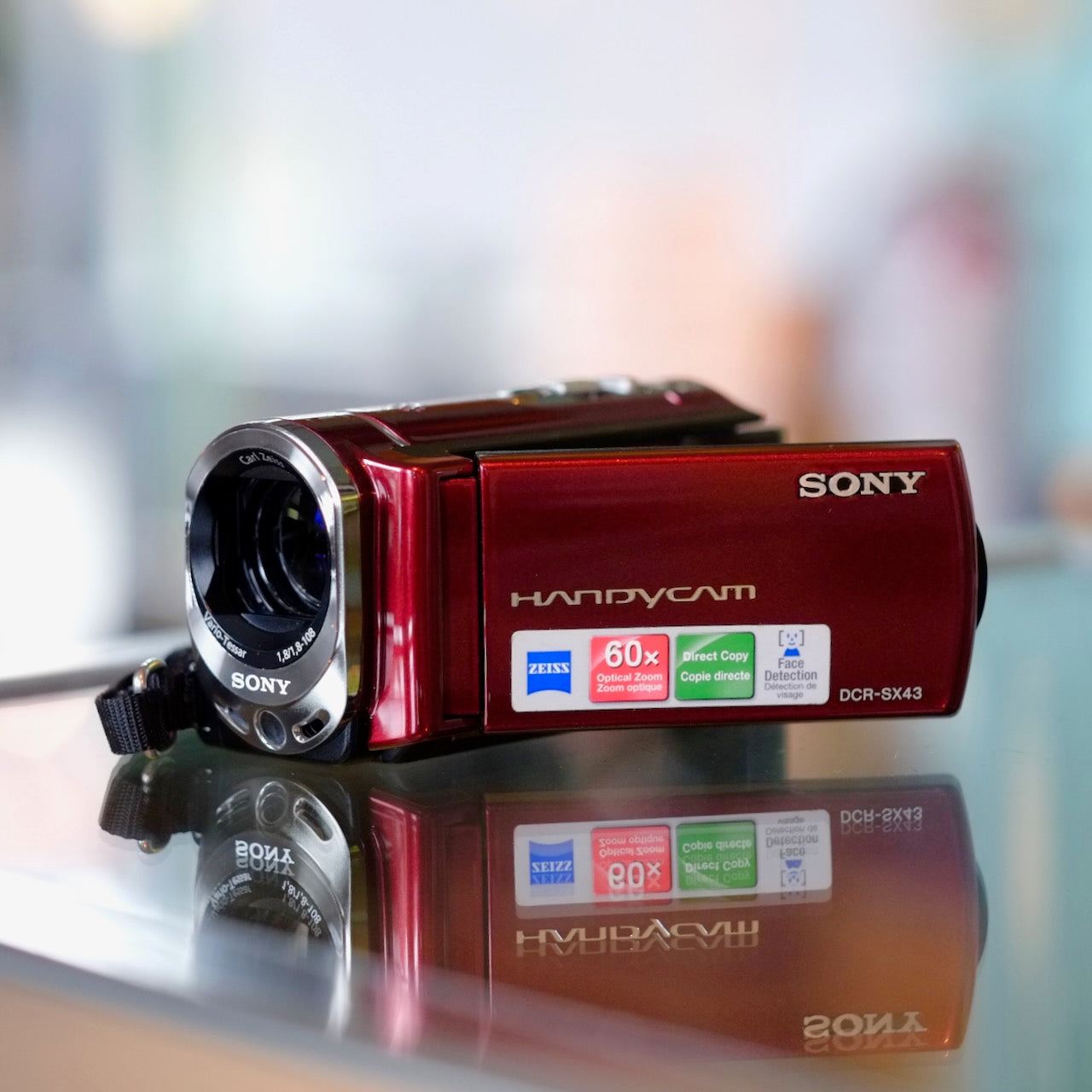 Sony Handycam DCR-SX43