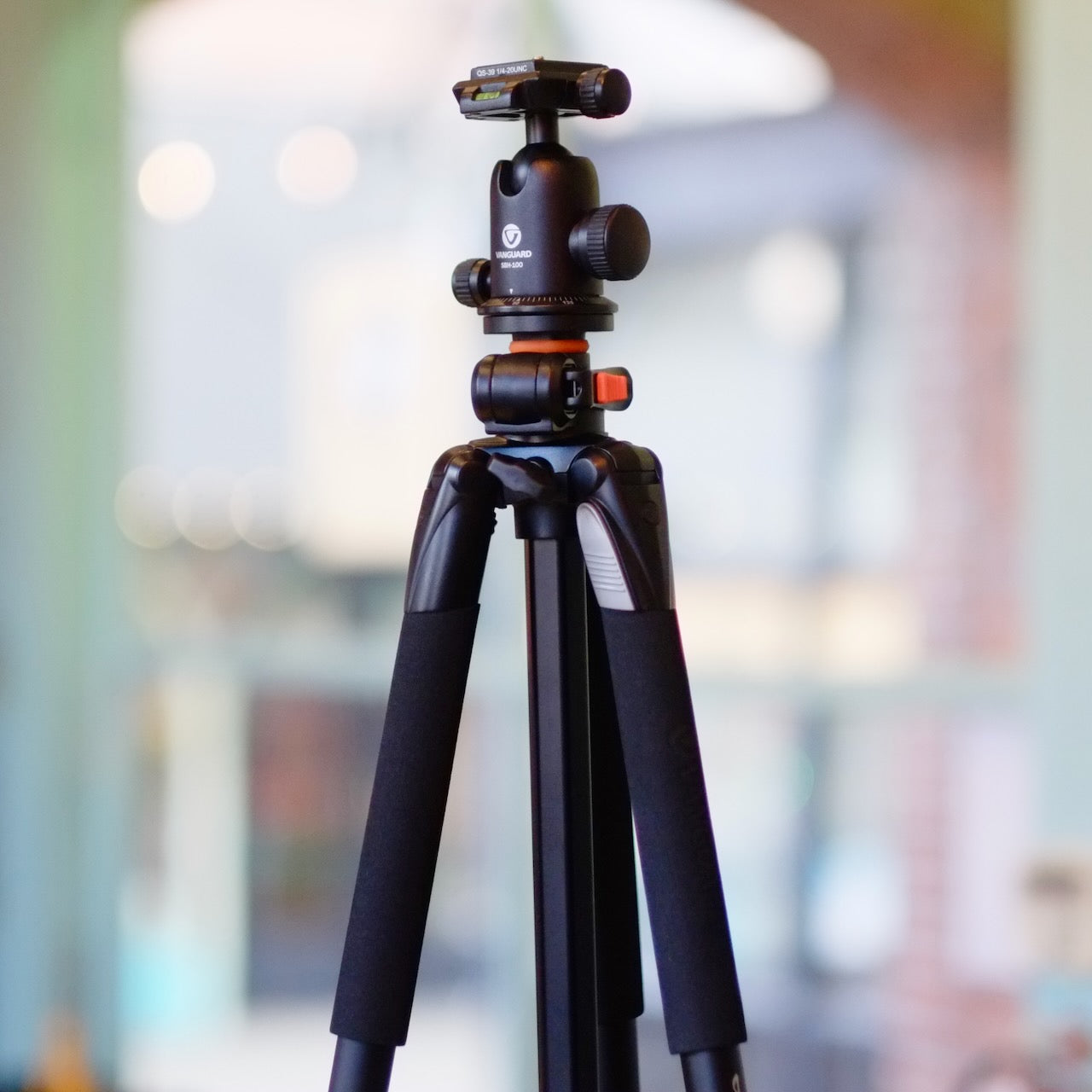 Vanguard Alta Pro 263AT with SBH-100