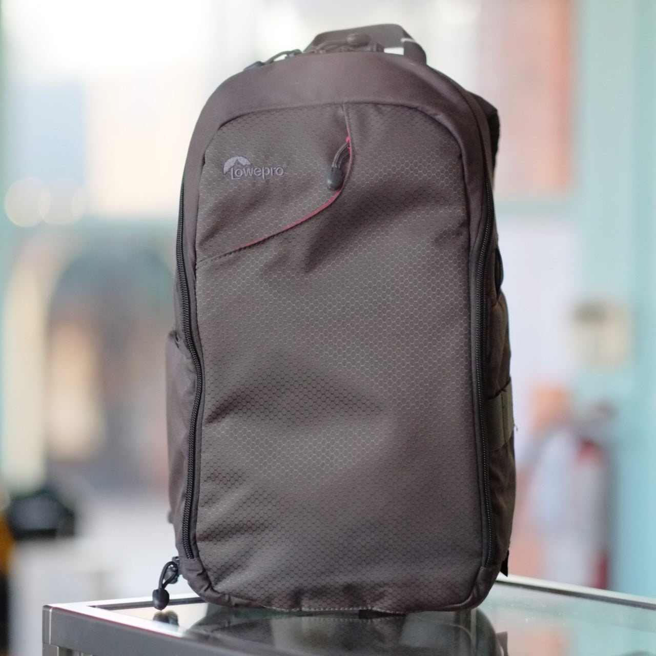 Lowepro Transit Sling 250AW