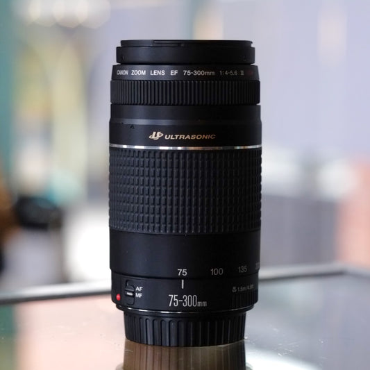 Canon EF 75-300mm f4-5.6 III