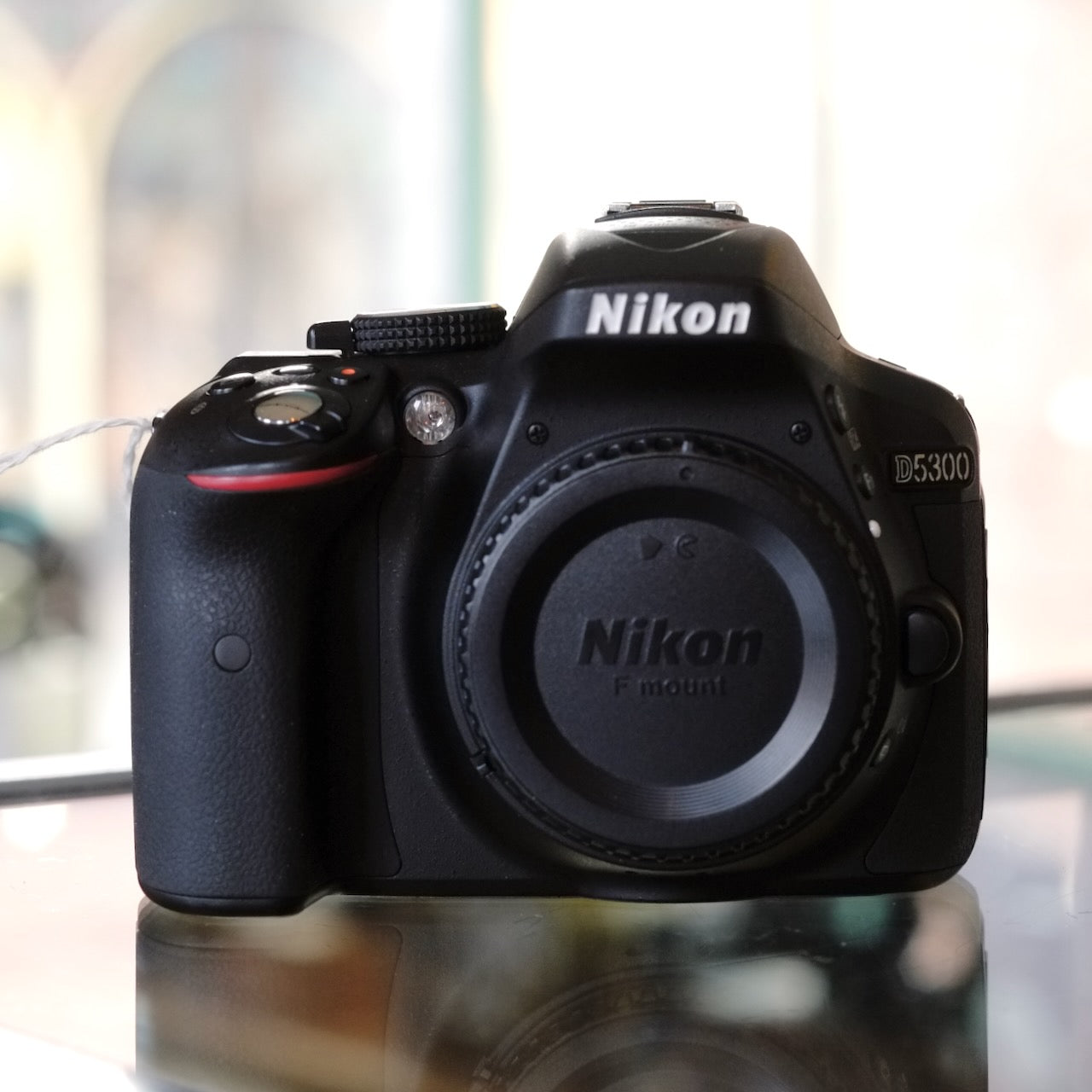 Nikon D5300