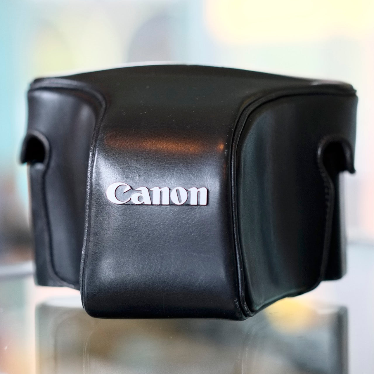Everready case for Canon F-1