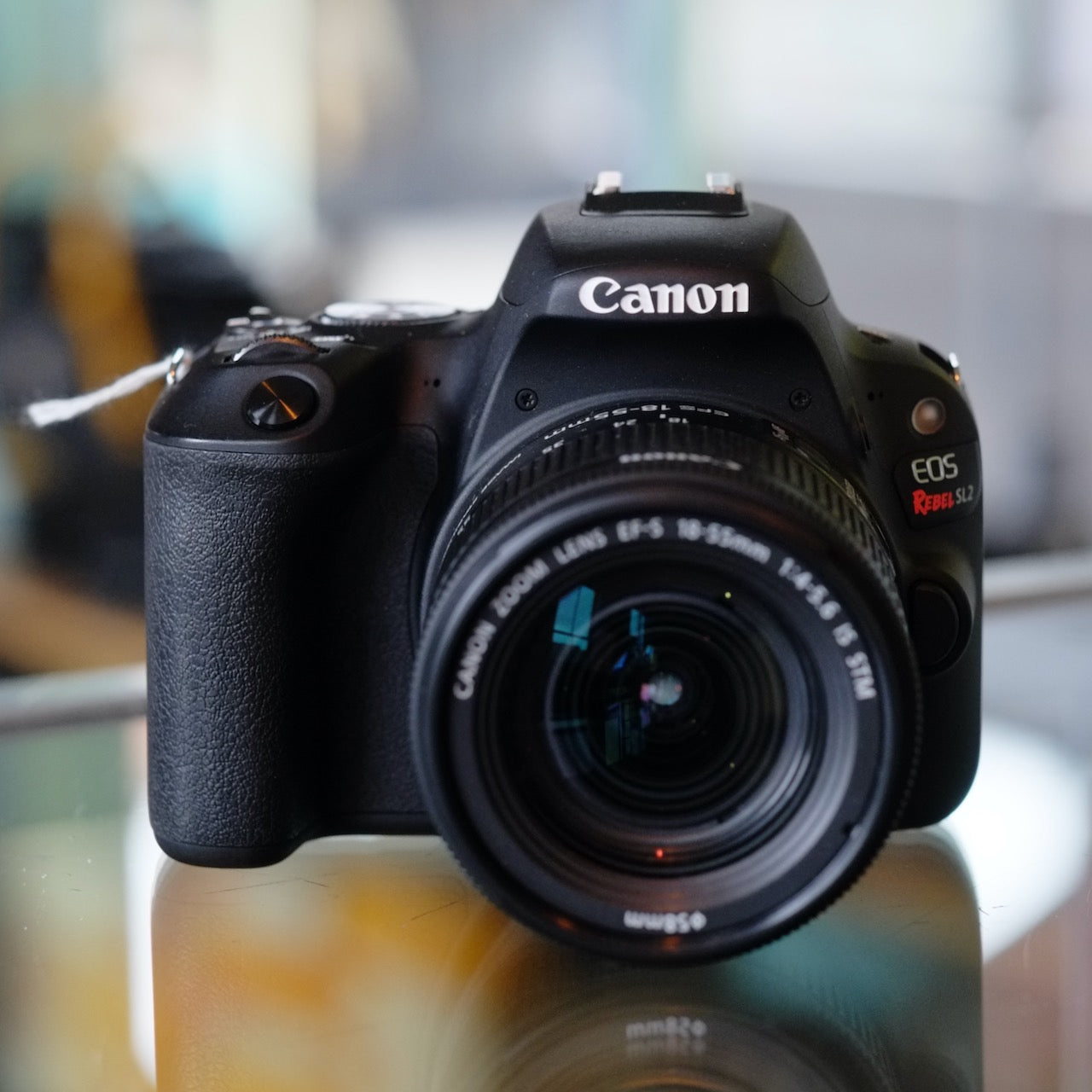 Canon EOS Rebel SL2 with 18-55mm f3.5-5.6 IS STM
