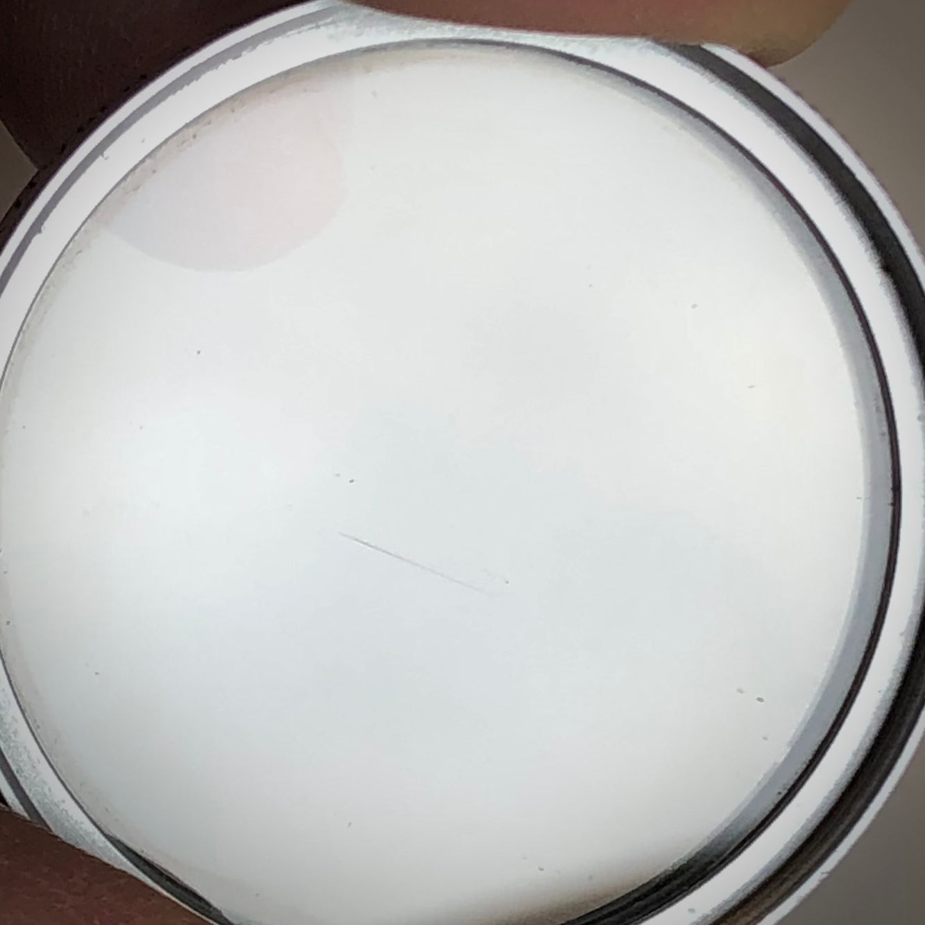 E. Leitz NY SL filter (with a small scratch)