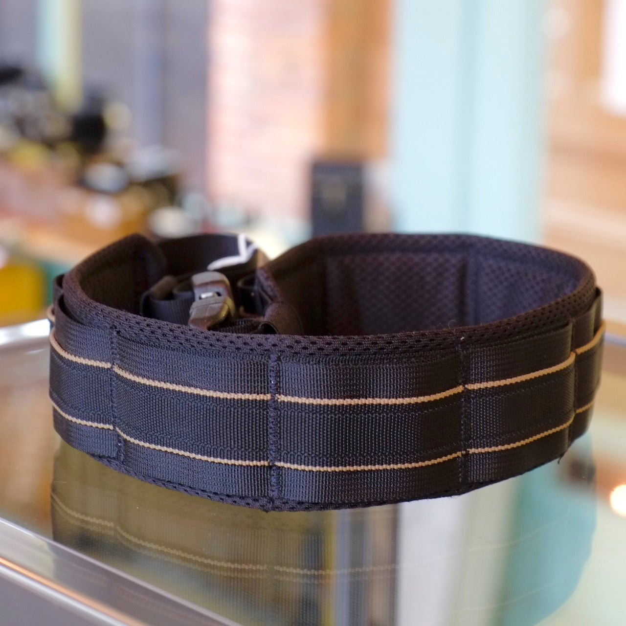 LowePro Street & Field Utility Belt