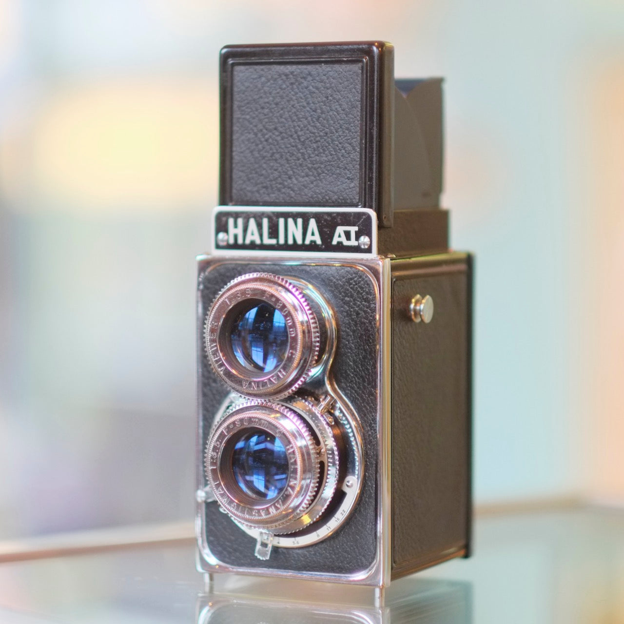 Halina AI