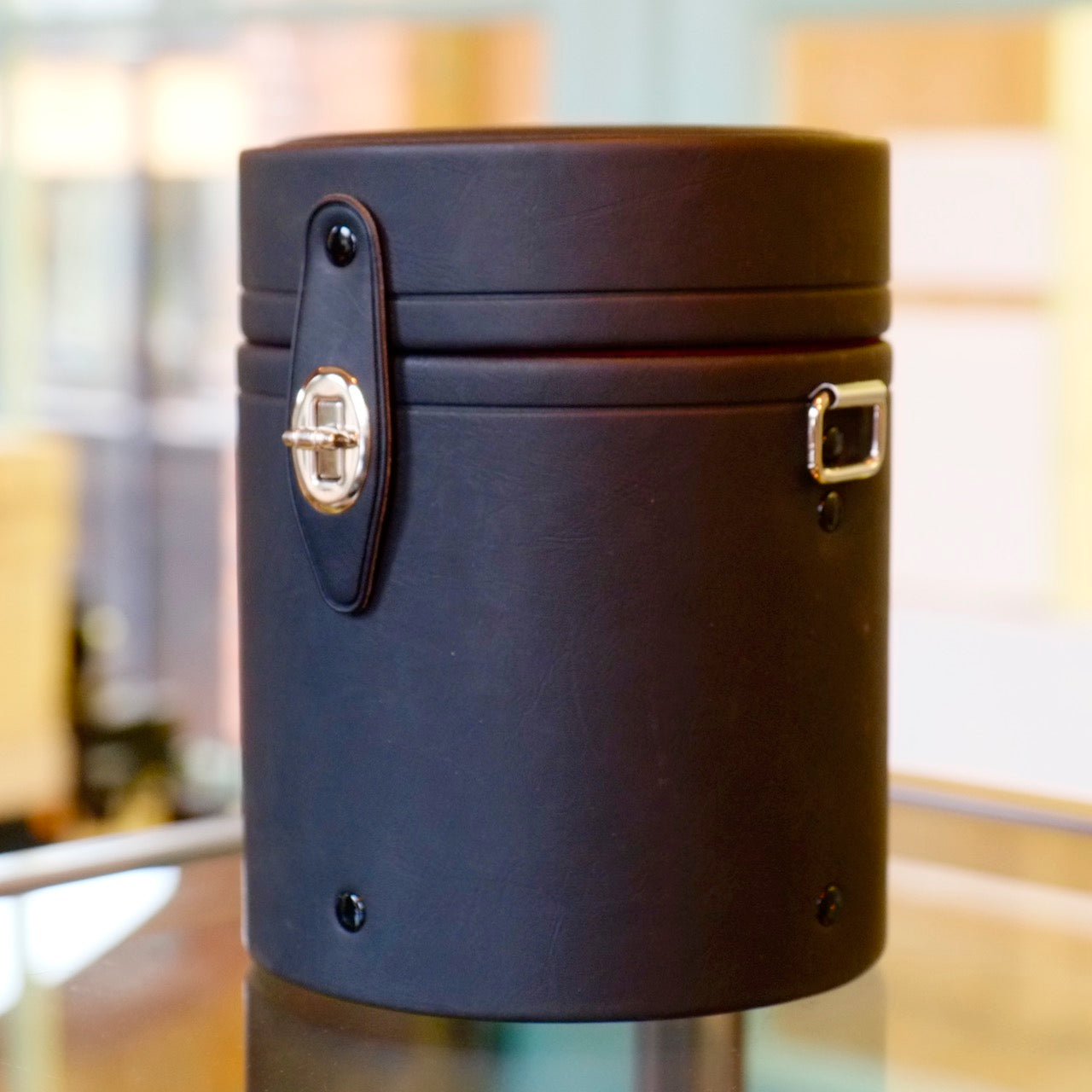 Nikon CL-76 Hard Case